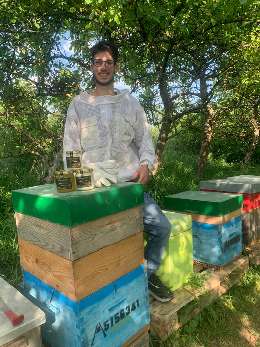 Stage Pratique apiculture
